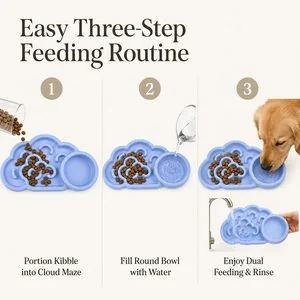 Cloud Slow Feeder Bowl — How to use